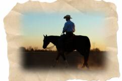 We have lesson horses available for beginner riders, competitive training for Youth, Rookie, and Non pro riders and coaching at shows